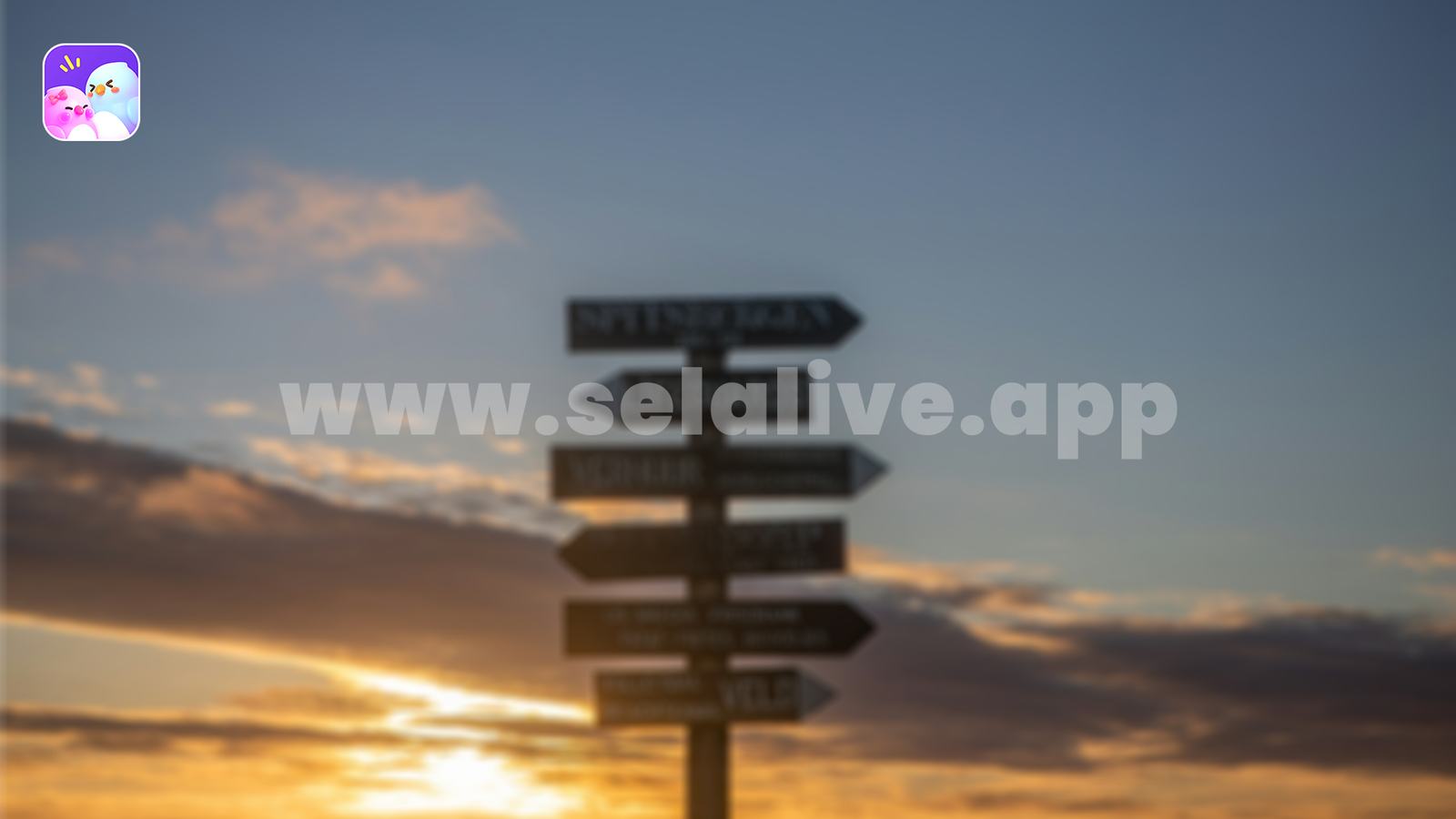 Valuable Decision Making Skills as Sela Live Hosts